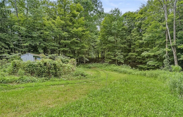 762 Spring Street Ext, Groton, NY 13073 - photo 7
