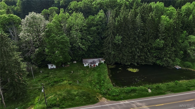 9023 State Route 21, Fremont, NY 14826 - drone / aerial view