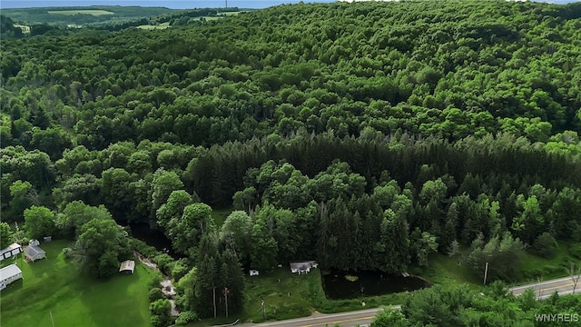 9023 State Route 21, Fremont, NY 14826 - aerial view of property's location with a heavily wooded area