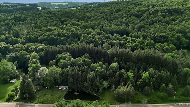 9023 State Route 21, Fremont, NY 14826 - aerial view of property's location featuring a heavily wooded area