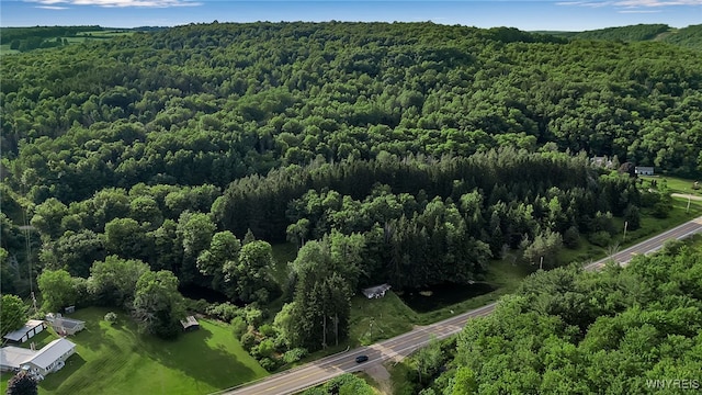 9023 State Route 21, Fremont, NY 14826 - aerial view of property's location featuring a forest