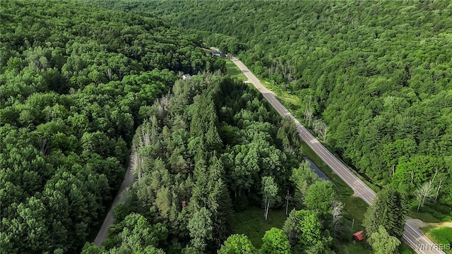 9023 State Route 21, Fremont, NY 14826 - aerial view of property's location featuring a forest