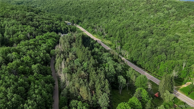 9023 State Route 21, Fremont, NY 14826 - aerial overview of property's location featuring a forest