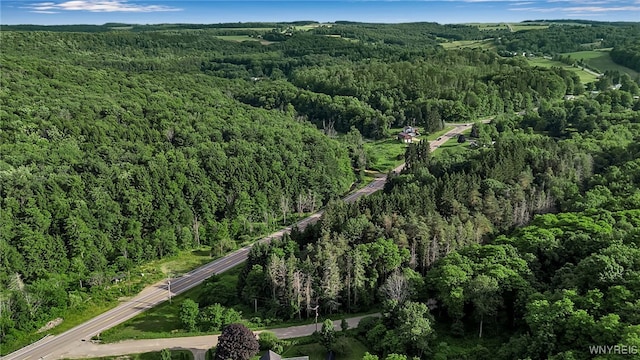 9023 State Route 21, Fremont, NY 14826 - aerial view of property's location featuring a heavily wooded area