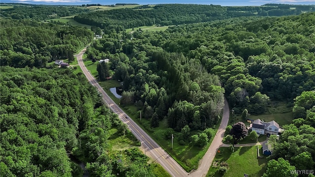 9023 State Route 21, Fremont, NY 14826 - aerial overview of property's location featuring a heavily wooded area