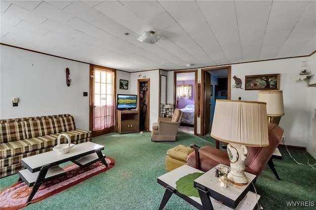9023 State Route 21, Fremont, NY 14826 - living area with carpet floors