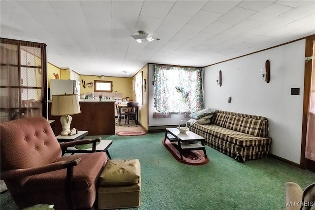 9023 State Route 21, Fremont, NY 14826 - living area featuring carpet and a baseboard radiator