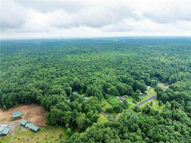 392 S Albion Rd, Parish, NY 13302 - photo 19