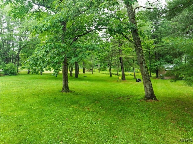 392 S Albion Rd, Parish, NY 13302 - photo 28