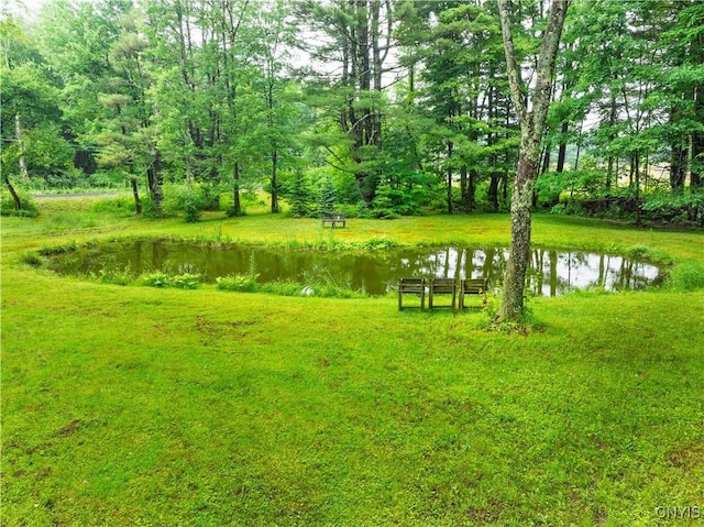 392 S Albion Rd, Parish, NY 13302 - photo 29