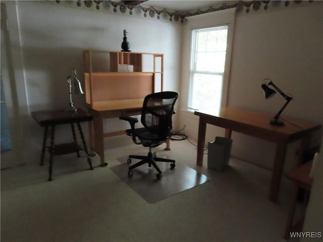 2271 Bullis Rd, Elma, NY 14059 - photo 23