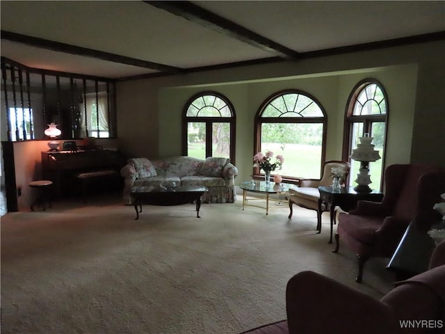 2271 Bullis Rd, Elma, NY 14059 - photo 5