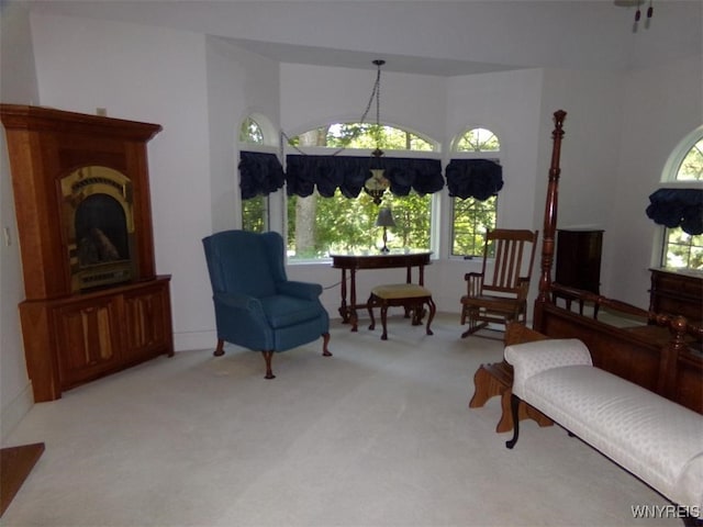 2271 Bullis Rd, Elma, NY 14059 - photo 16