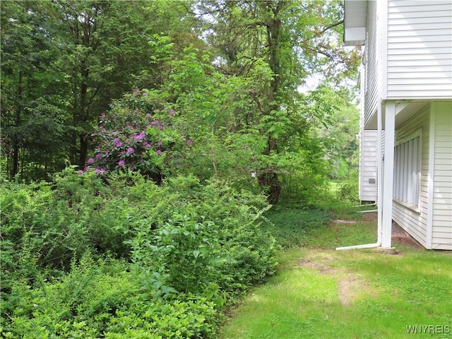 2271 Bullis Rd, Elma, NY 14059 - photo 35