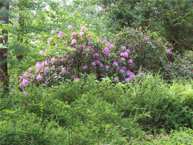 2271 Bullis Rd, Elma, NY 14059 - photo 36