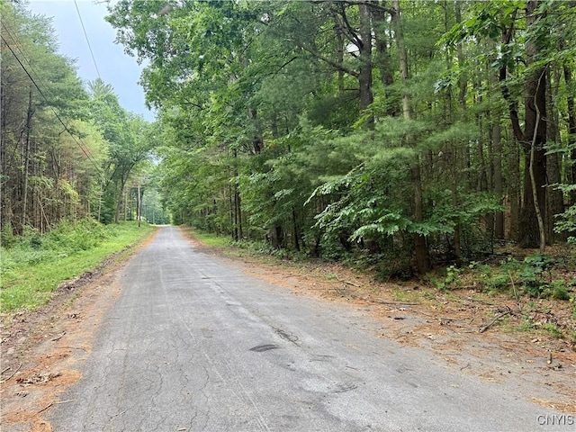 Beck Rd, Rome, NY 13308 - photo 1