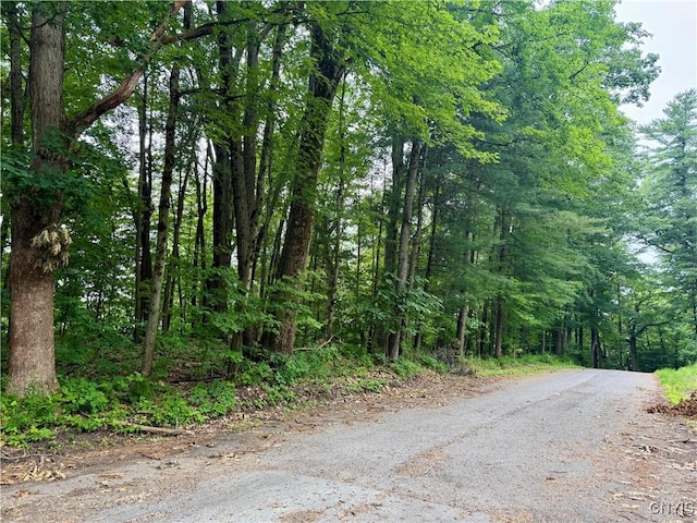 Beck Rd, Rome, NY 13308 - photo 4