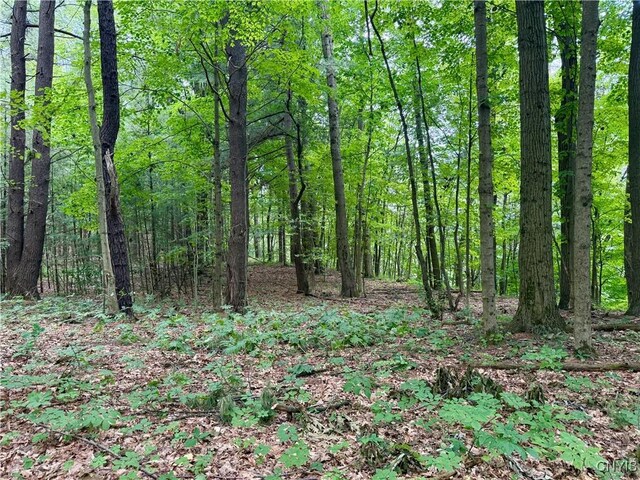 Beck Rd, Rome, NY 13308 - photo 5