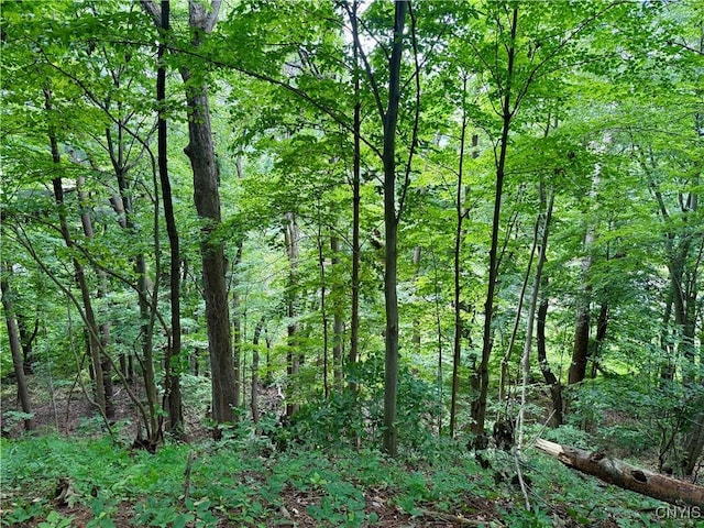 Beck Rd, Rome, NY 13308 - photo 6