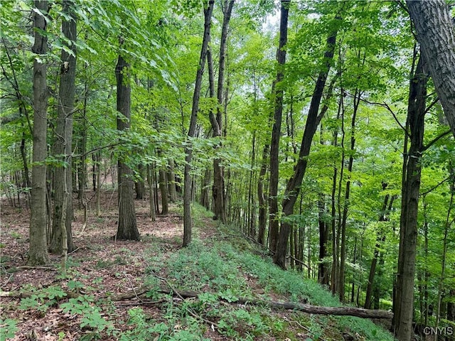 Beck Rd, Rome, NY 13308 - photo 7