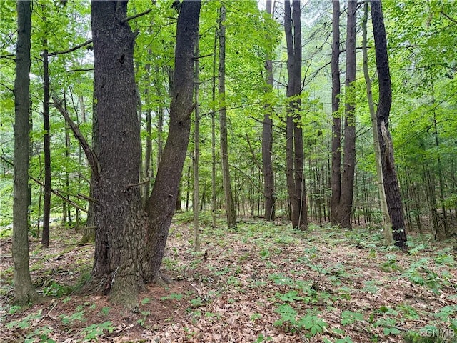 Beck Rd, Rome, NY 13308 - photo 9