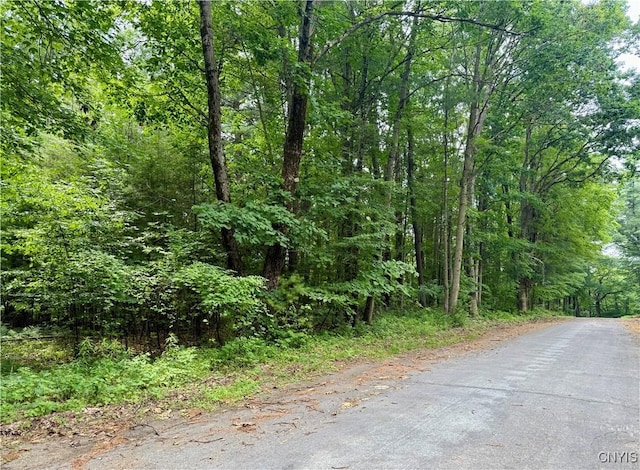 Beck Rd, Rome, NY 13308 - photo 10
