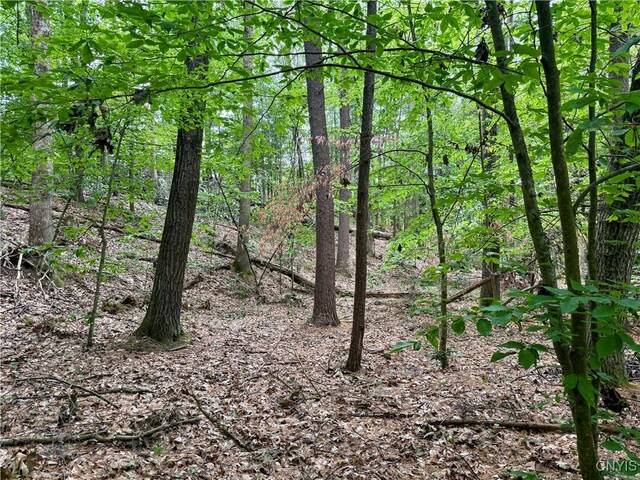 Beck Rd, Rome, NY 13308 - photo 11