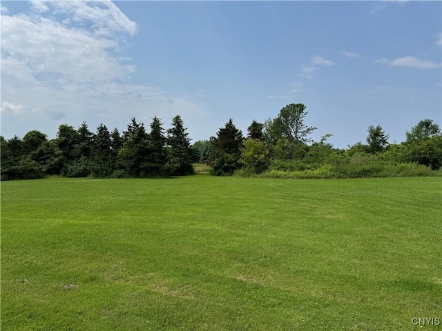 12775 County Route 72, Henderson, NY 13650 - photo 11