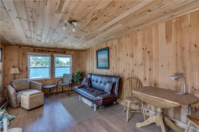 34627 Ross Ln, Cape Vincent, NY 13618 - photo 49