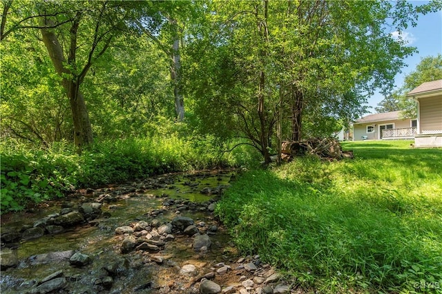 16 Vine Cir, Whitestown, NY 13492 - view of yard