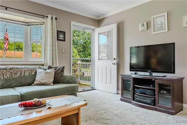 16 Vine Cir, Whitestown, NY 13492 - living area featuring carpet flooring and ornamental molding