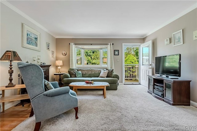 16 Vine Cir, Whitestown, NY 13492 - living area with crown molding and baseboards