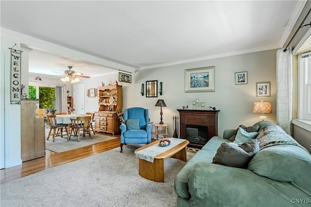 16 Vine Cir, Whitestown, NY 13492 - living room with crown molding, wood finished floors, a ceiling fan, and a glass covered fireplace
