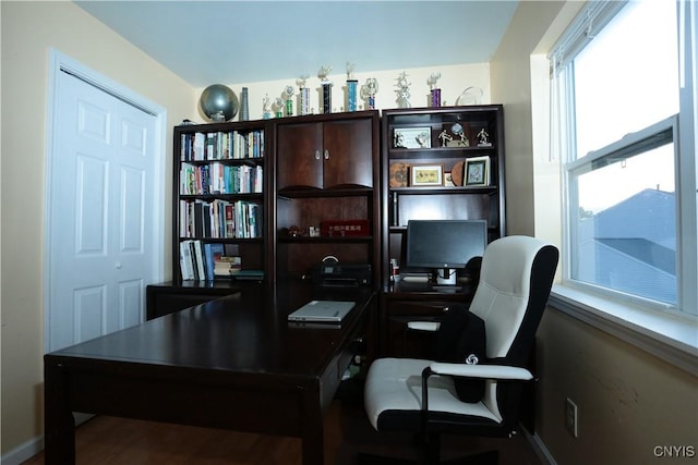 4872 Clark Ln, Manlius, NY 13104 - photo 27