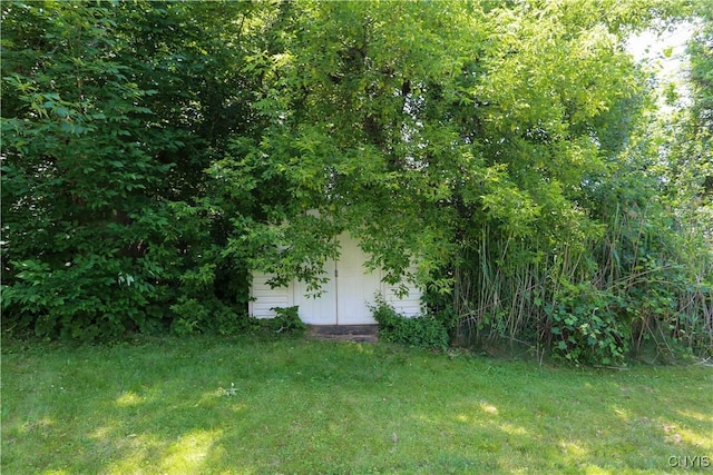 4872 Clark Ln, Manlius, NY 13104 - photo 33