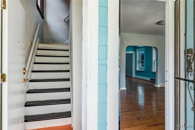 258 Leroy Ave, Buffalo, NY 14214 - photo 5