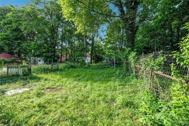 258 Leroy Ave, Buffalo, NY 14214 - photo 41