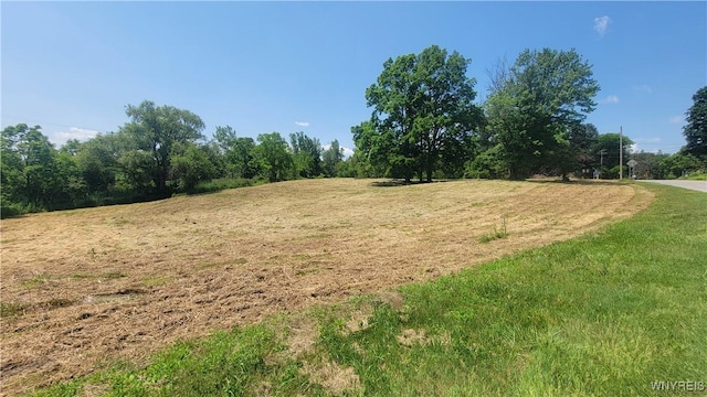 Prole Rd, Stafford, NY 14143 - photo 3