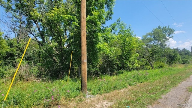 Prole Rd, Stafford, NY 14143 - photo 5