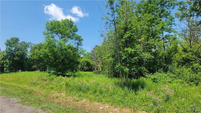 Prole Rd, Stafford, NY 14143 - photo 6