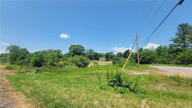 Prole Rd, Stafford, NY 14143 - photo 8