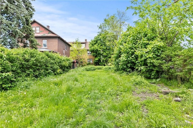 1810 Niagara St, Niagara Falls, NY 14303 - view of yard