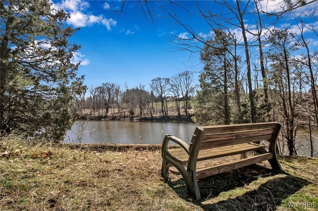 2244 Lockport Olcott Rd, Newfane, NY 14108 - water view