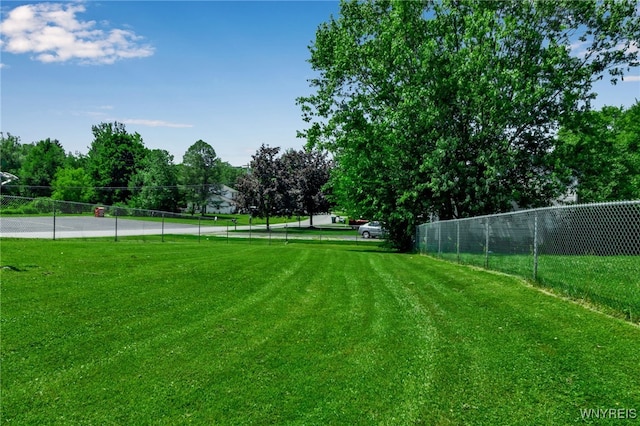 6192 Thornwood Dr, Boston, NY 14075 - view of yard