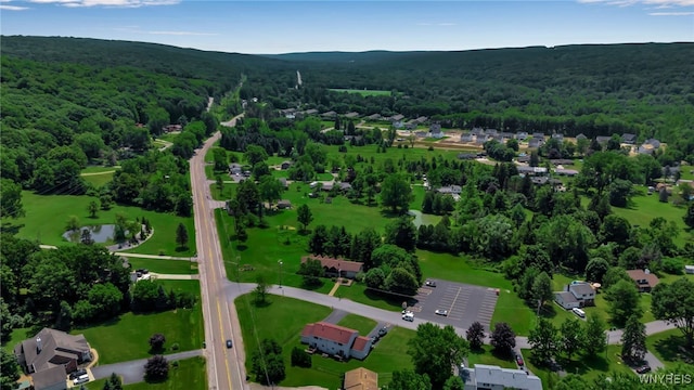 6192 Thornwood Dr, Boston, NY 14075 - aerial view of a heavily wooded area