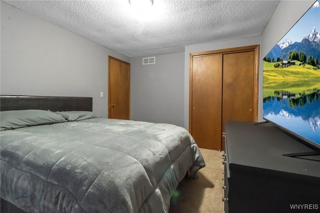 6192 Thornwood Dr, Boston, NY 14075 - carpeted bedroom with a closet and a textured ceiling