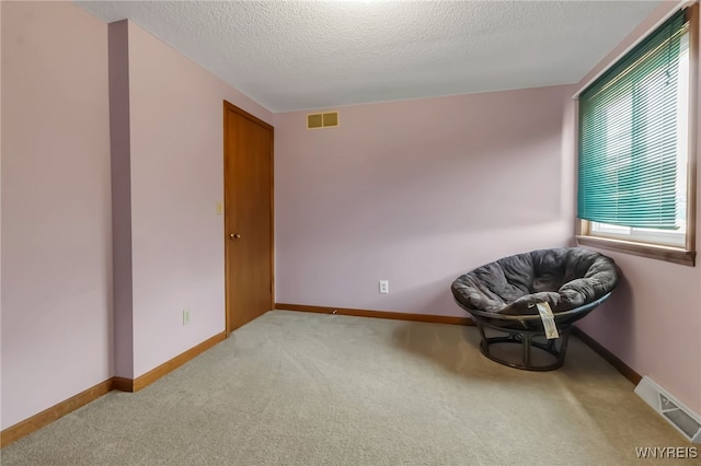 6192 Thornwood Dr, Boston, NY 14075 - sitting room featuring carpet flooring and a textured ceiling