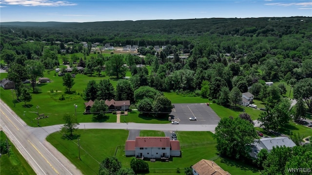 6192 Thornwood Dr, Boston, NY 14075 - bird's eye view of a forest