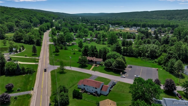 6192 Thornwood Dr, Boston, NY 14075 - aerial view of a forest
