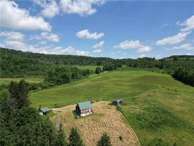 2857 County Route 84, Troupsburg, NY 14885 - view of rural area featuring a heavily wooded area